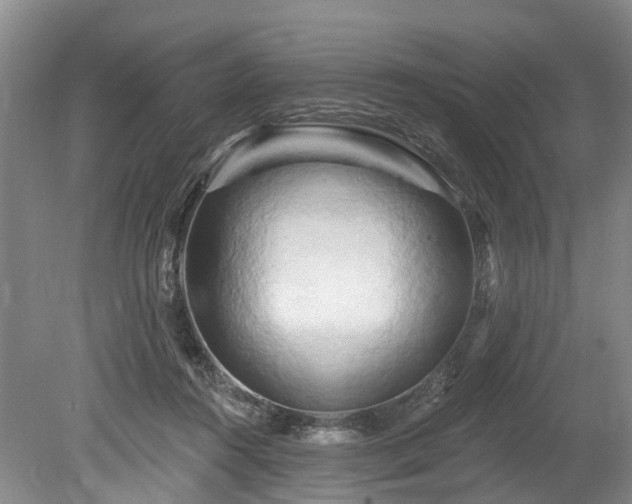 X0000078890360200611201442