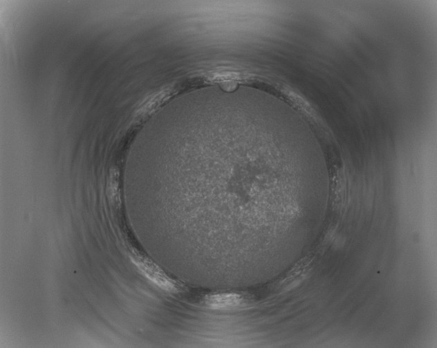 X0000078890361200611201442