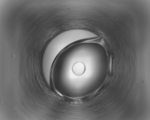 X0000078890362200611201443