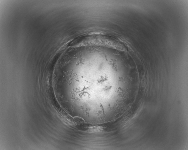 X0000078890363200611201443