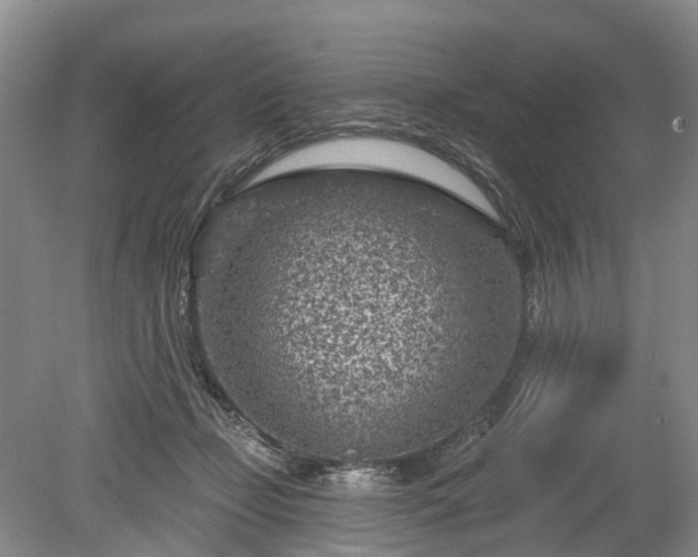 X0000078890365200611201443