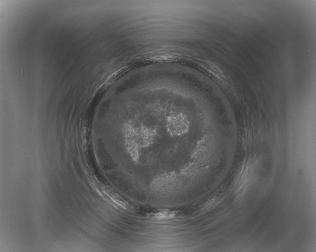 X0000078890366200611201443