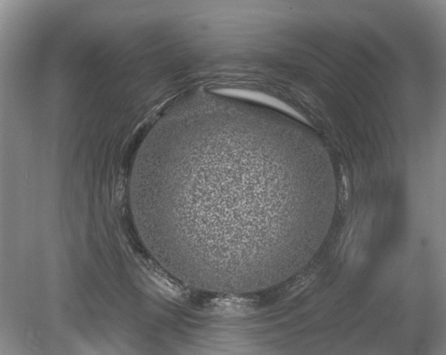 X0000078890367200611201443