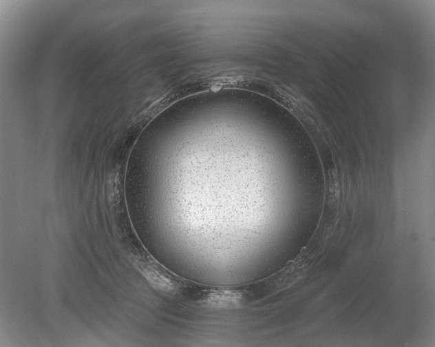 X0000078890369200611201443