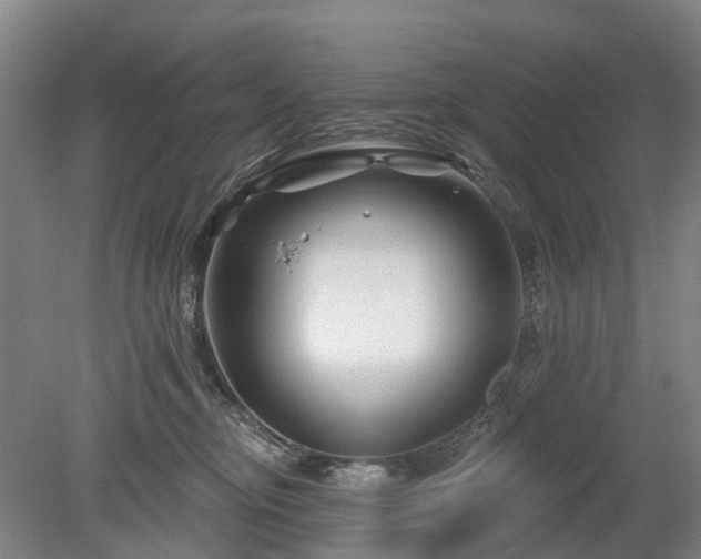 X0000078890374200611201443