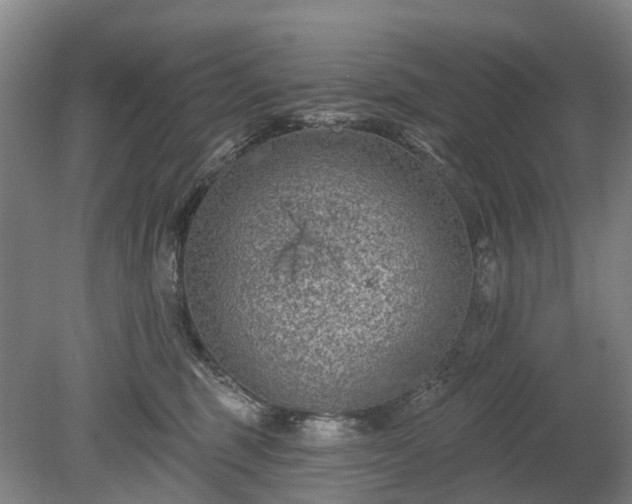 X0000078890375200611201443