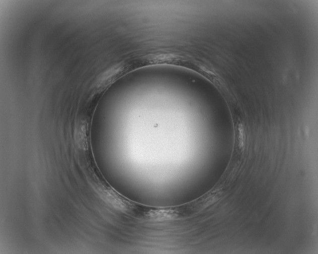 X0000078890378200611201443