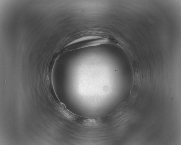 X0000078890381200611201443