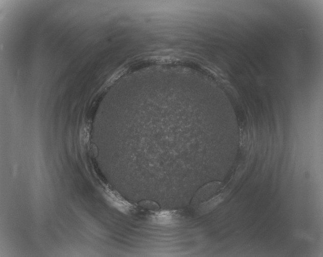 X0000078890382200611201443