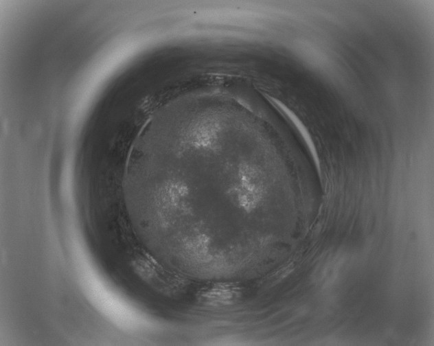 X0000078890383200611201443