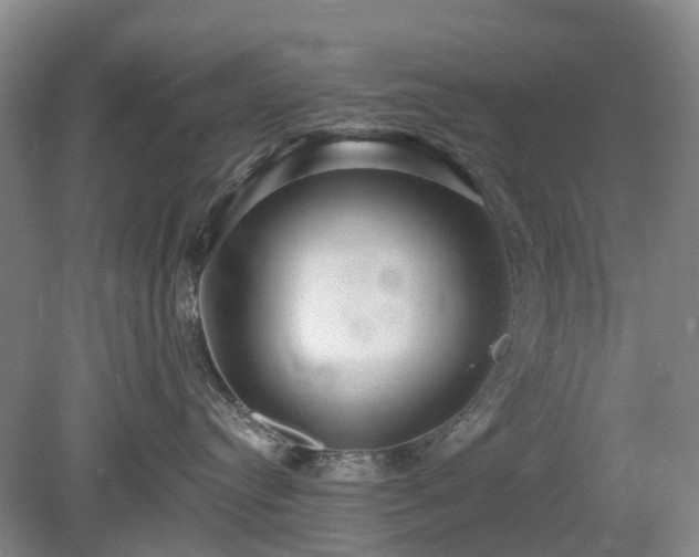 X0000078890384200611201443