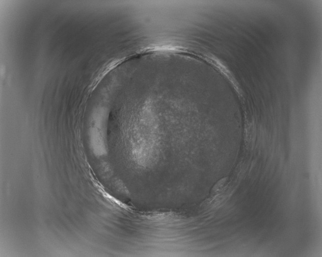 X0000078890385200611201442