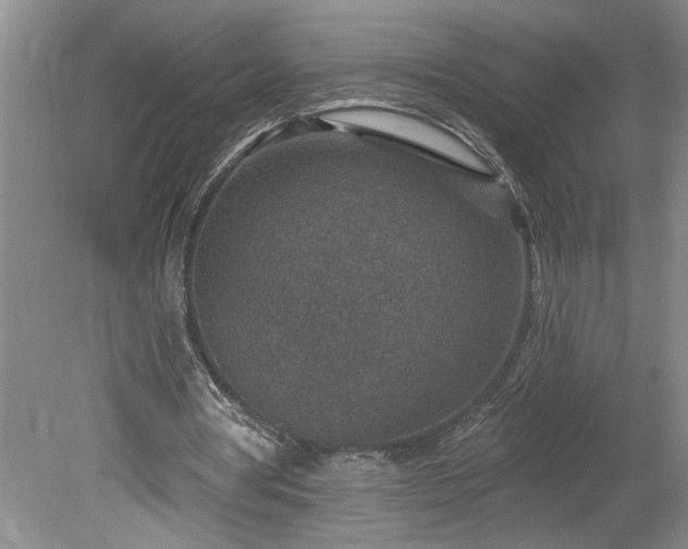 X0000078890386200611201442