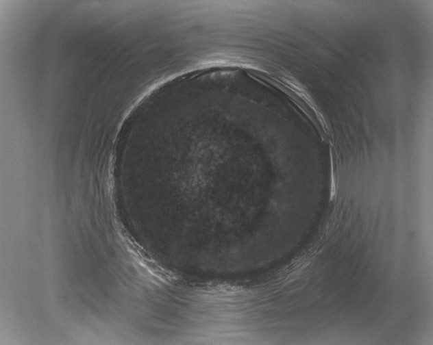 X0000078890387200611201442