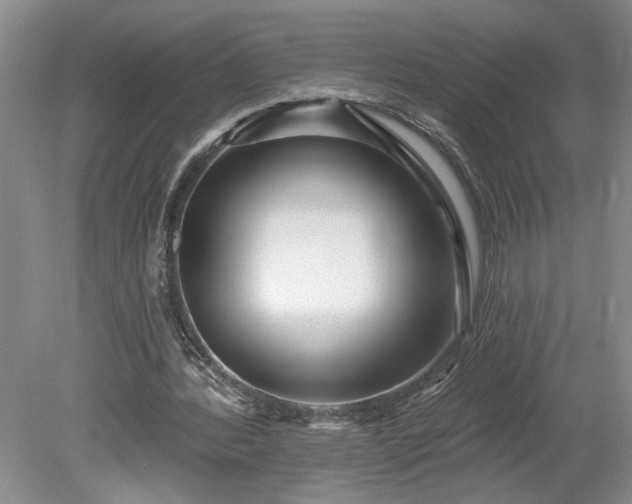 X0000078890388200611201442