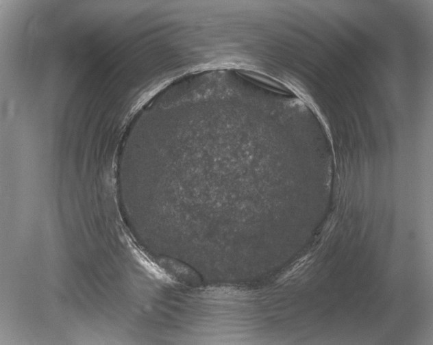 X0000078890389200611201442