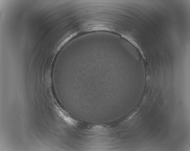 X0000078890390200611201442