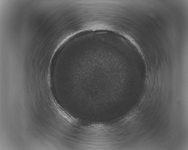 X0000078890391200611201442