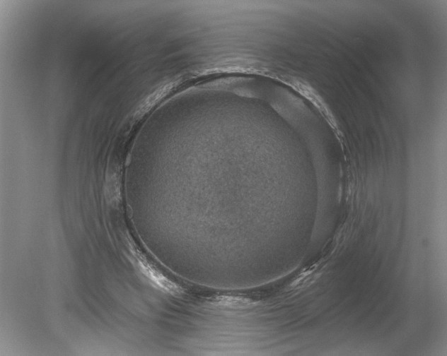 X0000078890393200611201442