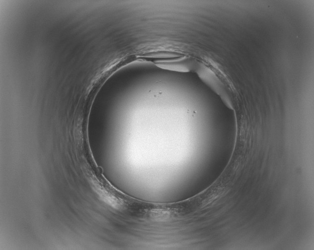 X0000078890394200611201442