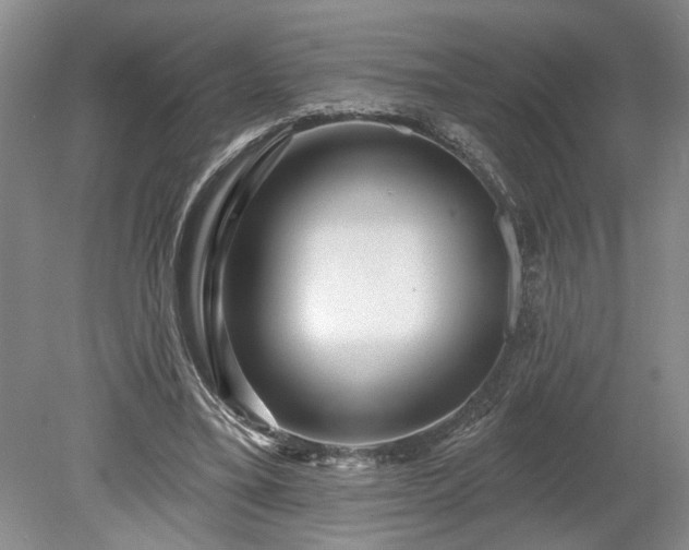 X0000078890395200611201442