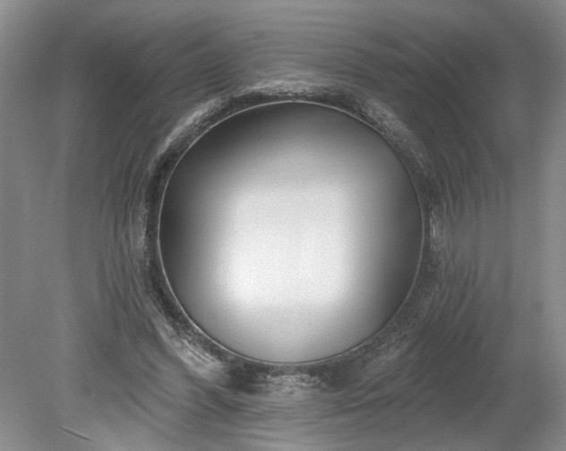 X0000078890396200611201442