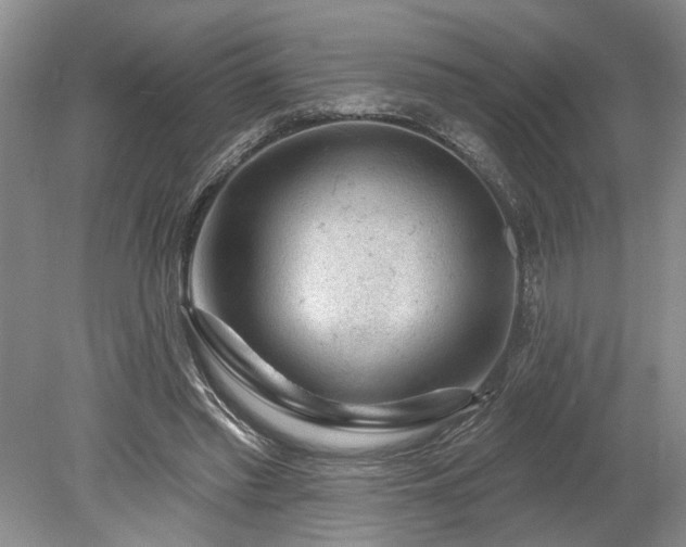 X0000078890397200611201442