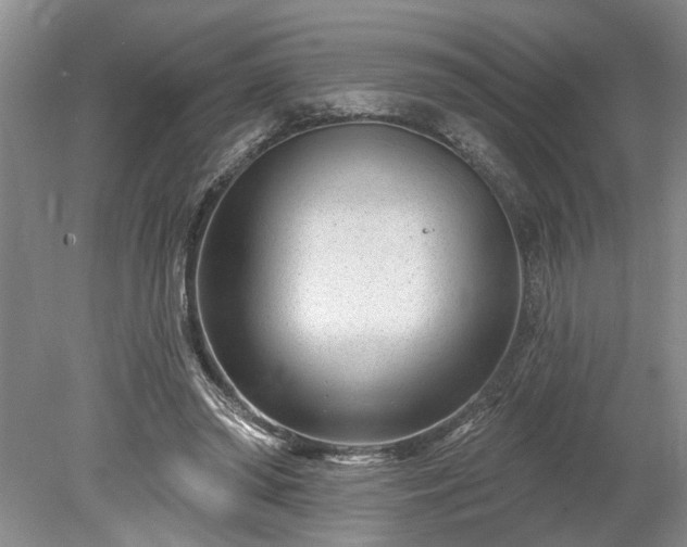 X0000078890398200611201442