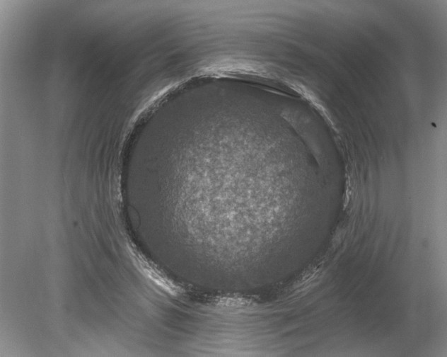 X0000078890399200611201442