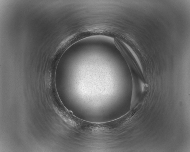 X0000078890400200611201442