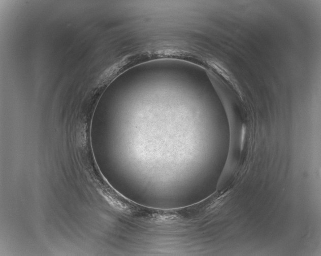 X0000078890401200611201442