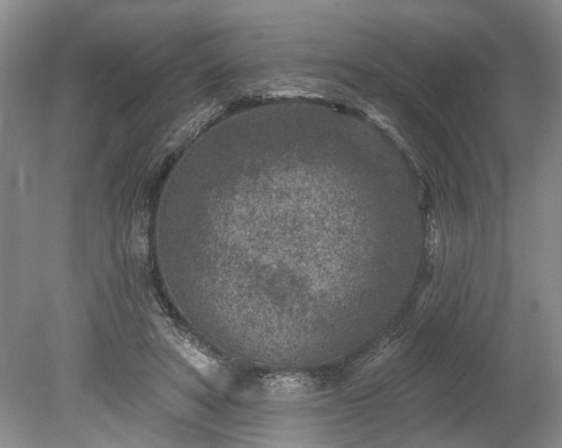 X0000078890402200611201442