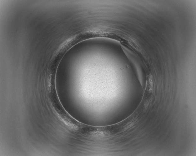 X0000078890404200611201442