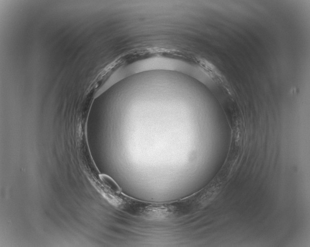 X0000078890405200611201442