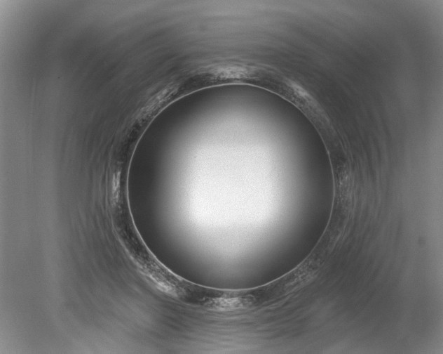 X0000078890406200611201442