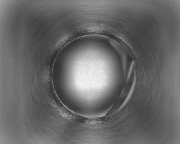 X0000078890407200611201442