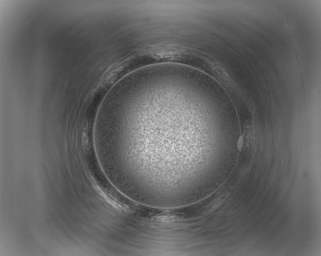 X0000078890408200611201442