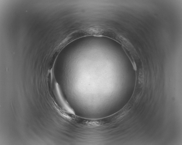 X0000078890409200611201442