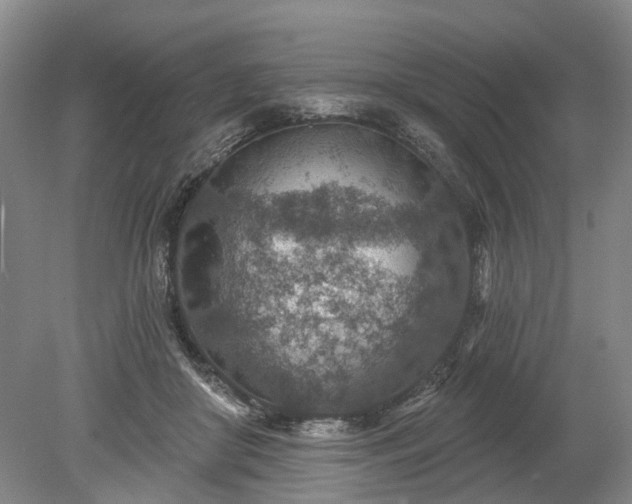 X0000078890410200611201442