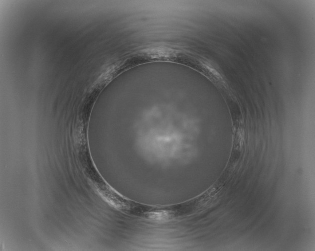 X0000078890411200611201442