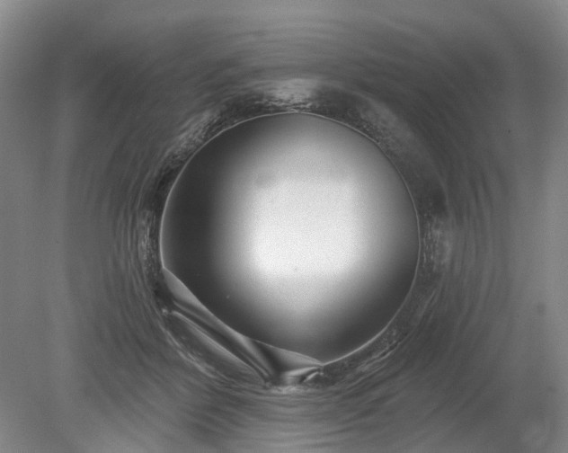 X0000078890412200611201442