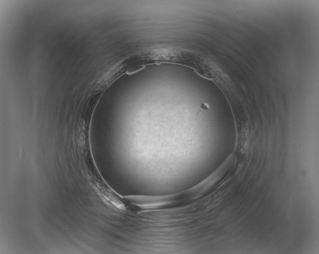 X0000078890413200611201442