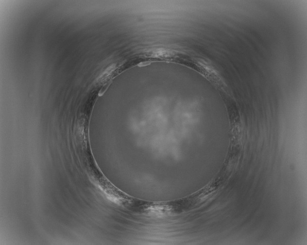 X0000078890415200611201442