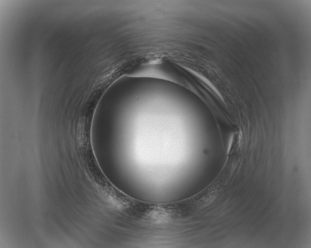 X0000078890416200611201442