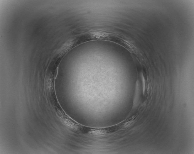 X0000078890417200611201442