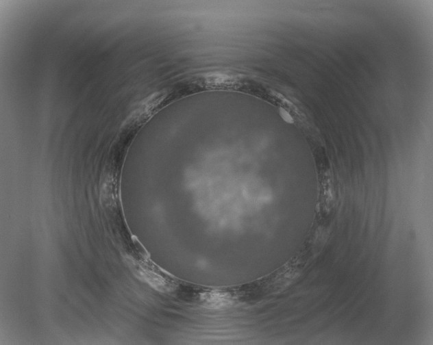 X0000078890419200611201442