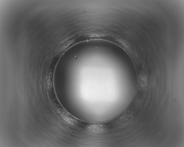 X0000078890422200611201441