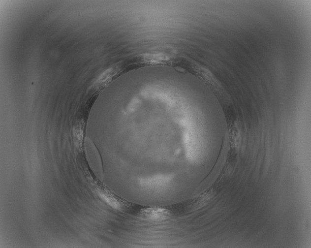 X0000078890427200611201441