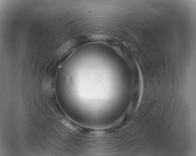 X0000078890428200611201441