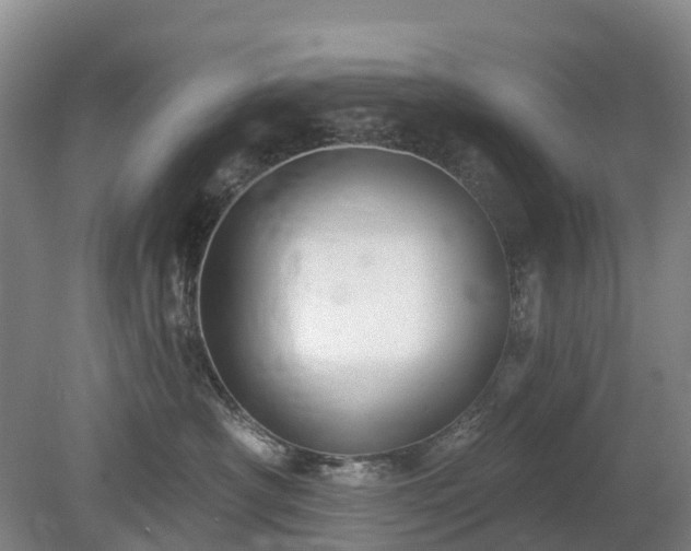 X0000078890430200611201441